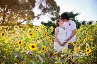 sunflower maternity photography perth